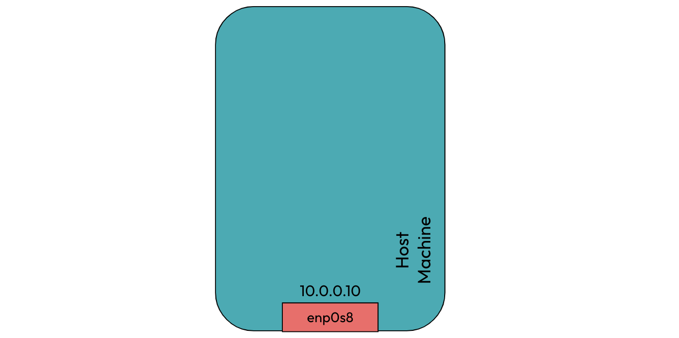 Host machine with network interface named enp0s8